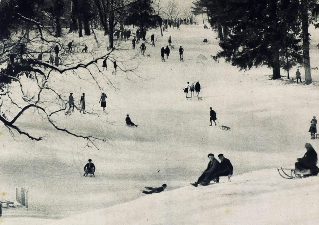 Park-šuma Cmrok, sanjkanje